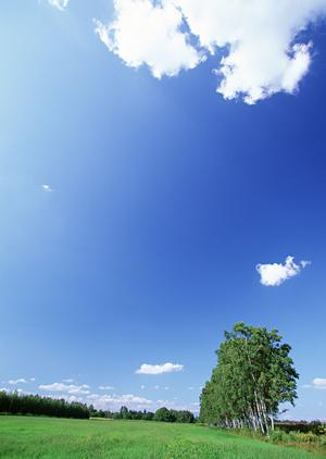 静岡県掛川市の安心・信頼の葬祭サービス｜富士葬祭掛川の詳細情報と特徴解説