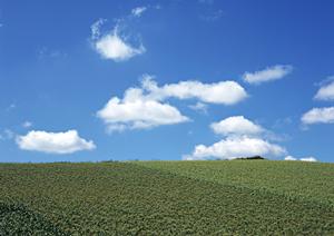 磐田市二之宮にある安心・信頼の葬儀場｜富士葬祭 中泉の特徴とサービス