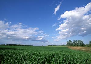 静岡県富士宮市で選ばれる家族葬ホールと葬儀サービス｜富士葬祭の詳細ガイド