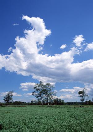 静岡県富士市にある信頼の葬儀場【富士葬祭 富士瓜島】の特徴と利用メリット