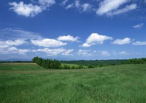 【2024年版】2024年に注目の新しいWEBサイトの特徴とビジネス活用法