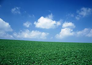 【静岡県島田市】家族葬・小規模葬儀に最適な富士葬祭 六合の徹底ガイド