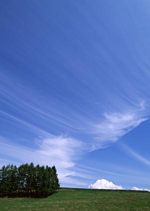 静岡県焼津市の信頼の家族葬・葬儀場｜家族葬のタクセル西焼津の特徴とサービス内容