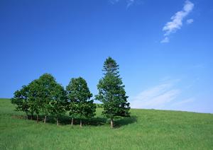 静岡市の家族葬・一日葬に対応！富士葬祭 瀬名の特徴とサービス詳細