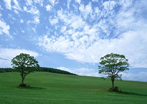 静岡市葵区に新規オープン！家族葬専門の斎場「家族葬のタクセル新伝馬」の特徴とサービス紹介