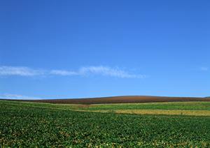 静岡県藤枝市の家族葬なら【公式】家族葬のタクセル高柳｜低価格・安心の家族葬専門斎場