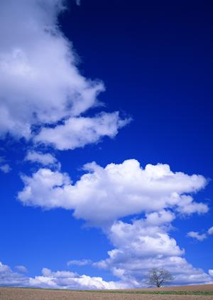 富士葬祭島田：プライベート感あふれる家族葬ホールと安心のお見送りサービス