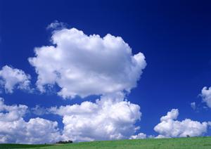 静岡市清水区にある富士葬祭 双樹：家族や親族に優しい和風邸宅葬儀会館の魅力と特徴