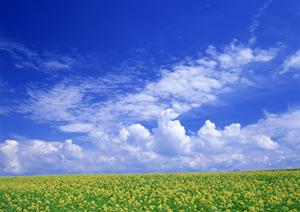 静岡県浜松市の信頼できる葬儀サービス【富士葬祭 佐鳴台】?家族葬から火葬まで対応