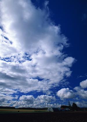 浜松市中央区高林で信頼と実績の葬儀サービス｜富士葬祭 高林の特徴と店舗情報