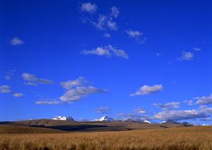 静岡市で信頼の葬儀サービス｜富士葬祭 中村町の特徴と店舗情報