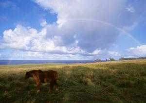 静岡市清水区の家族葬専門式場｜安心低価格の家族葬のタクセル北矢部町の特徴とアクセス情報