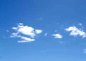 静岡県藤枝市の家族葬と葬儀場の総合ガイド ? 富士葬祭 藤枝城南の特徴とサービス内容