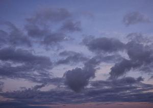 【2024年最新版】ティア越谷 | 家族葬から一般葬まで対応可能な総合葬儀場の詳細と特徴